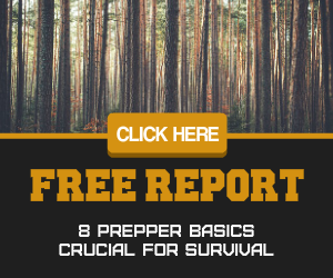 FREE Report